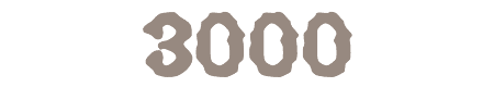 3000font